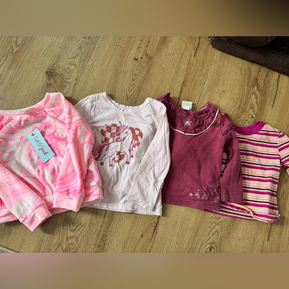 Girls size 2t long sleeve bundle graphic character